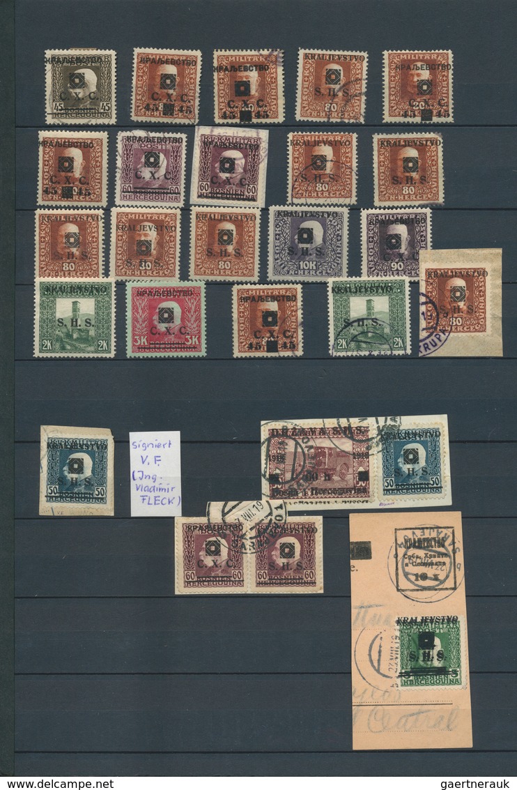 27071 Jugoslawien: 1919, Kraljevstvo Overprints On Bosnia, Specialised Assortment/collection Of Apprx. 209 - Lettres & Documents