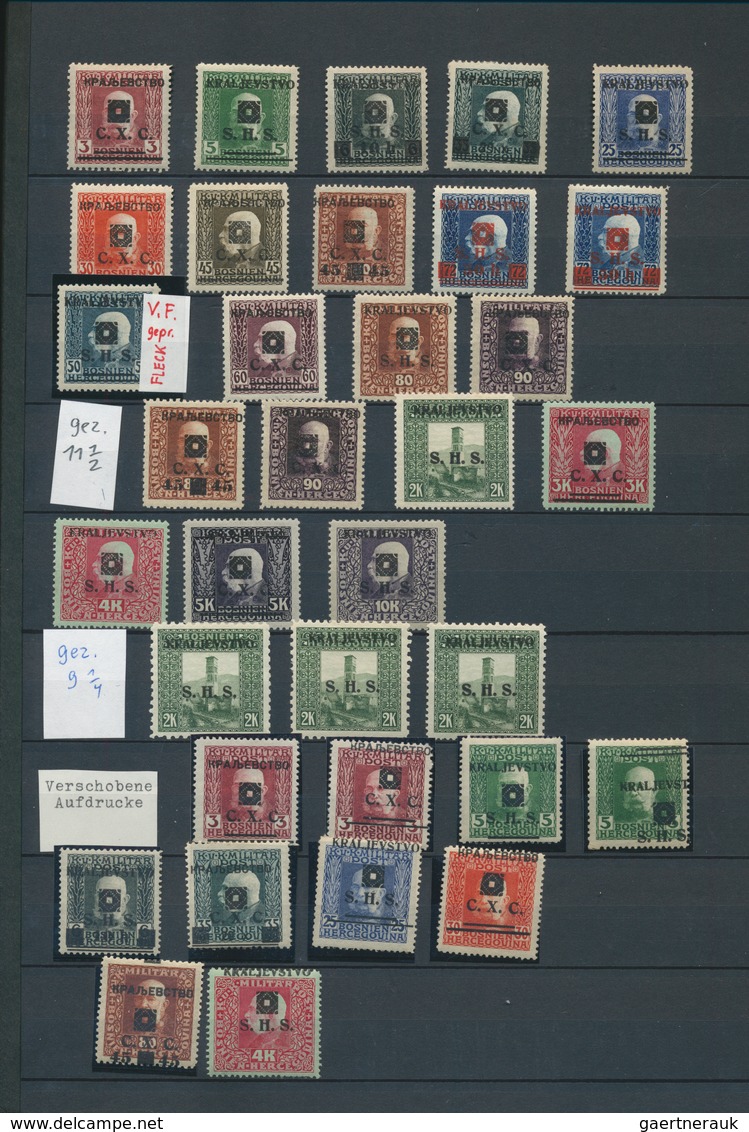 27071 Jugoslawien: 1919, Kraljevstvo overprints on Bosnia, specialised assortment/collection of apprx. 209