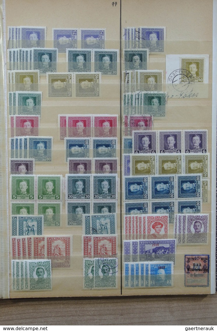 27080 Jugoslawien: till ca. 1925. Nice MNH, mint hinged and used stock Yugoslavian States in 5 stockbooks.