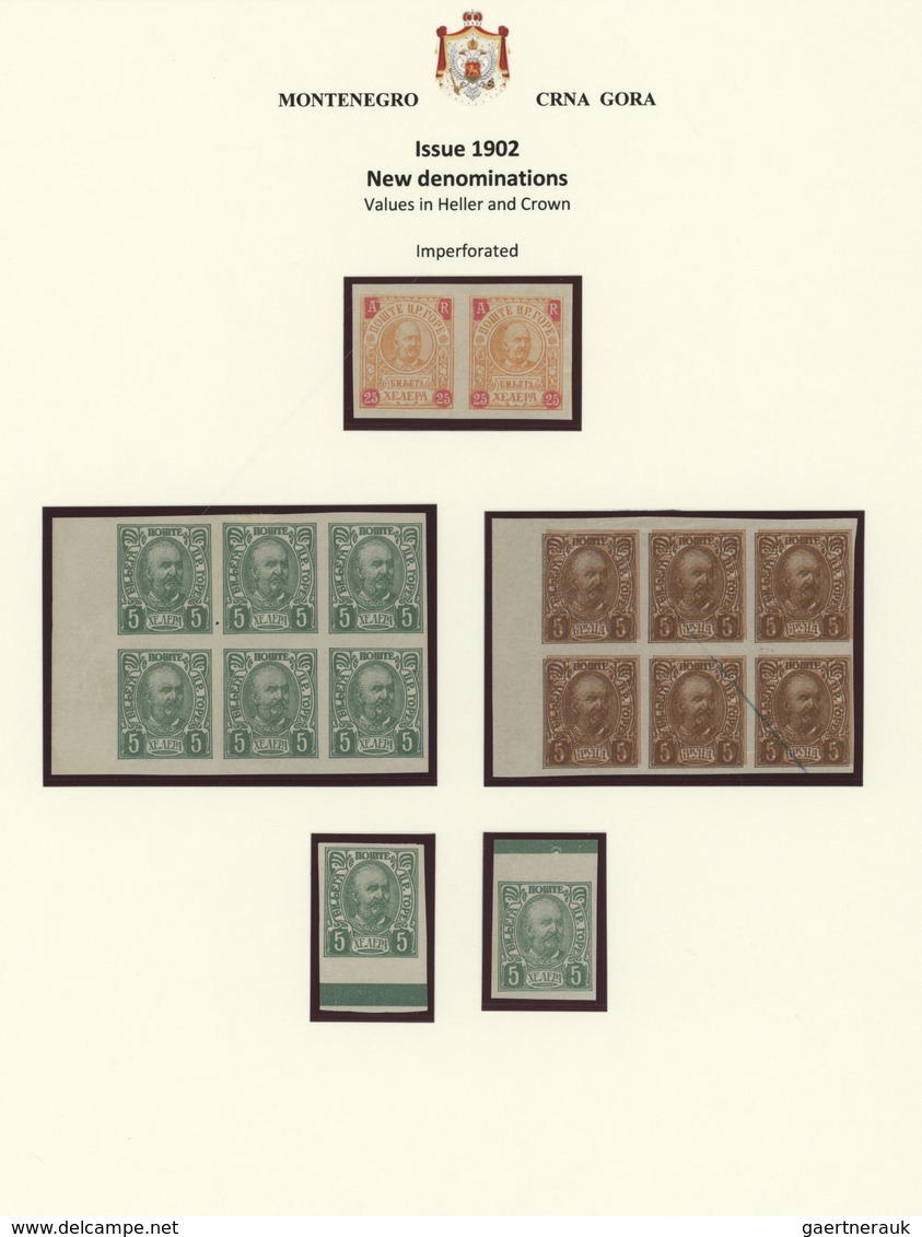 27397 Montenegro: 1874/1918 + 1941/1945: exhibition collection "Montenegro" in three albums and one sheet
