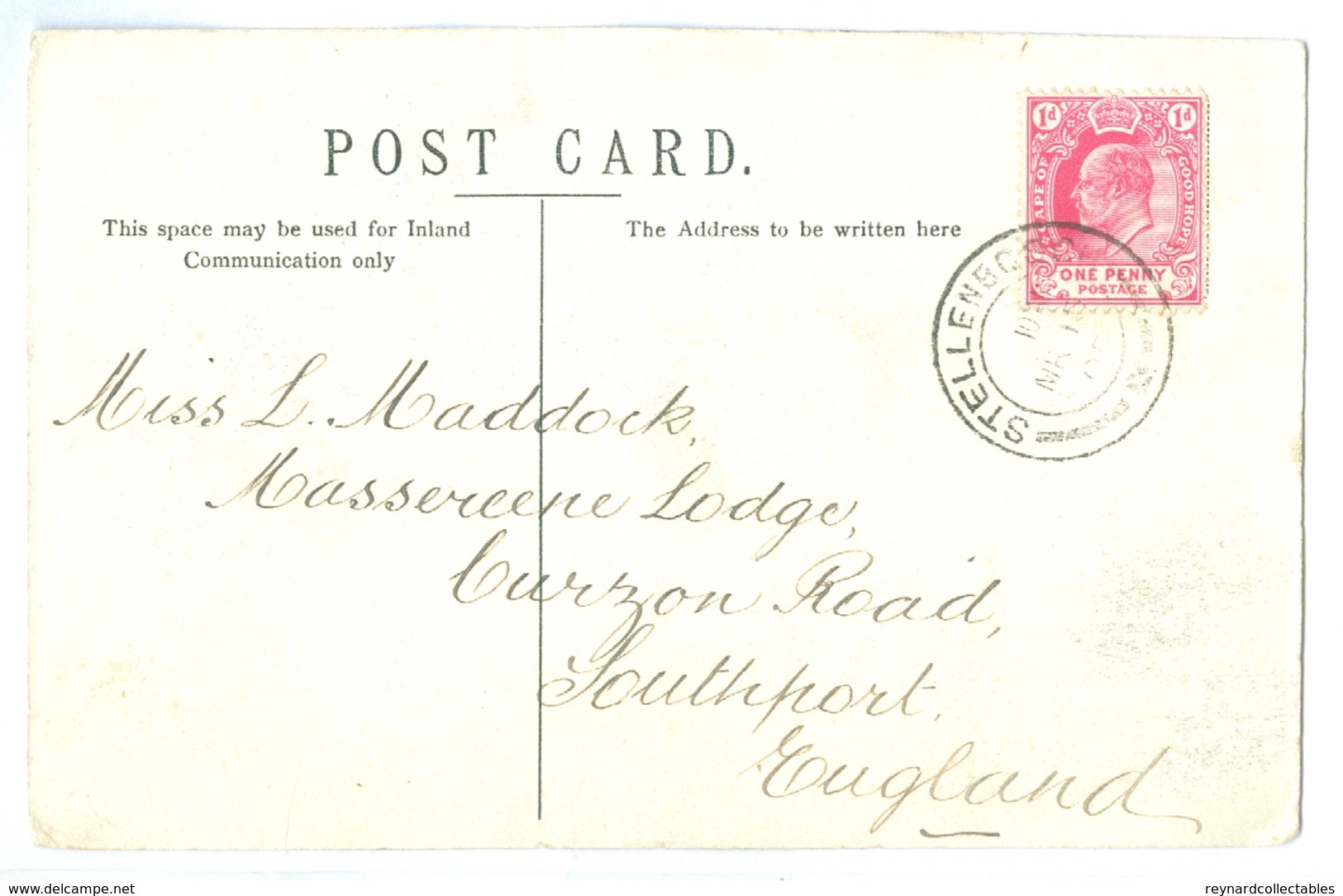 1905, South Africa, Central Paarl, Cape Colony. Printed Pc, Used. Stellenbosch Pmk. - South Africa
