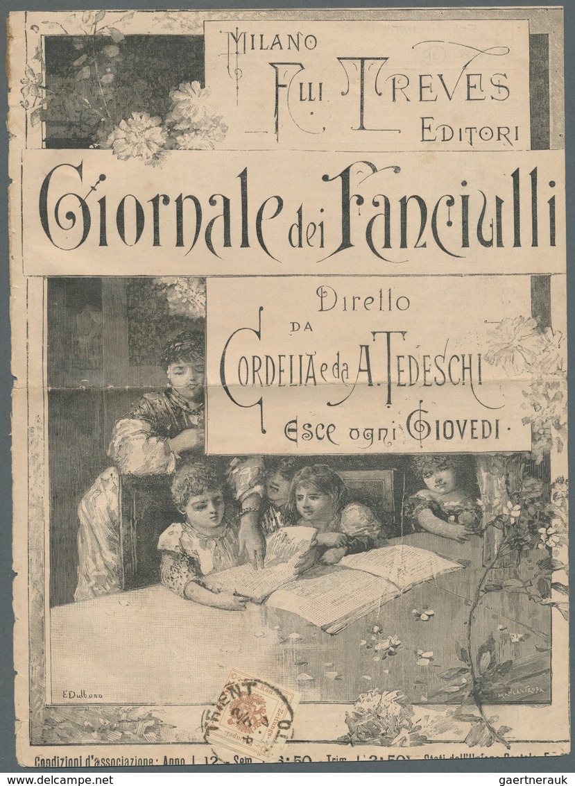 27638 Österreich - Zeitungsstempelmarken: 1861/1899, Lot Von Zwölf Frankierten Zeitungen/großen Zeitungste - Journaux