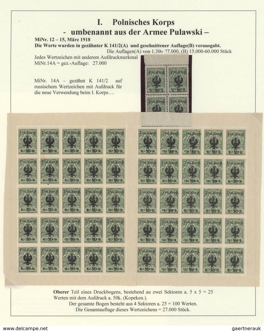27731 Polen - Polnisches Korps (1917/18): 1917/1918, specialised collection on album pages, showing all is