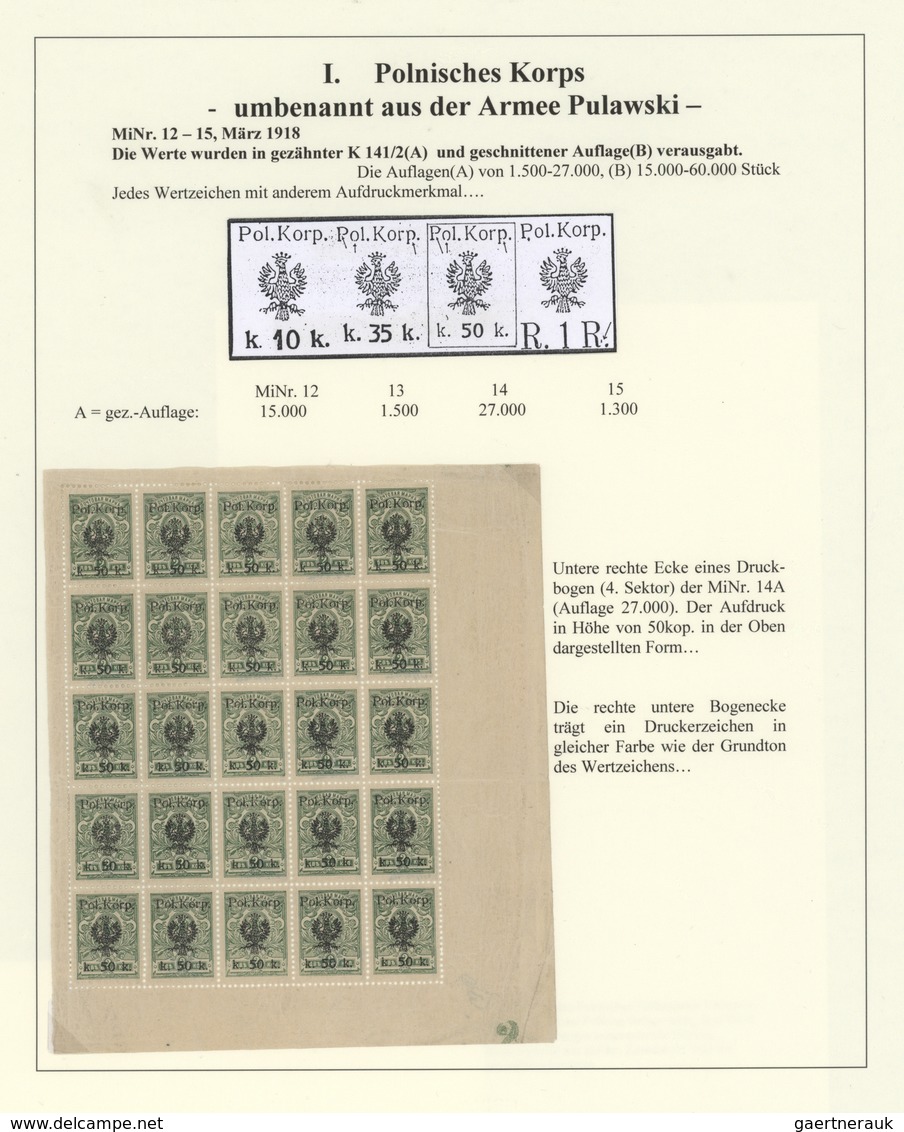 27731 Polen - Polnisches Korps (1917/18): 1917/1918, specialised collection on album pages, showing all is