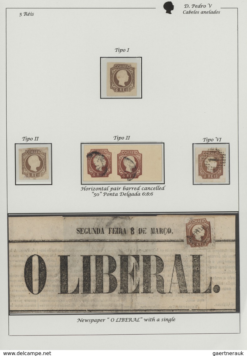 27757 Portugal: 1856/1858, DOM PEDRO CURLY HAIR, Deeply Specialised Collection Of All Values 5r. Brown, 25 - Lettres & Documents