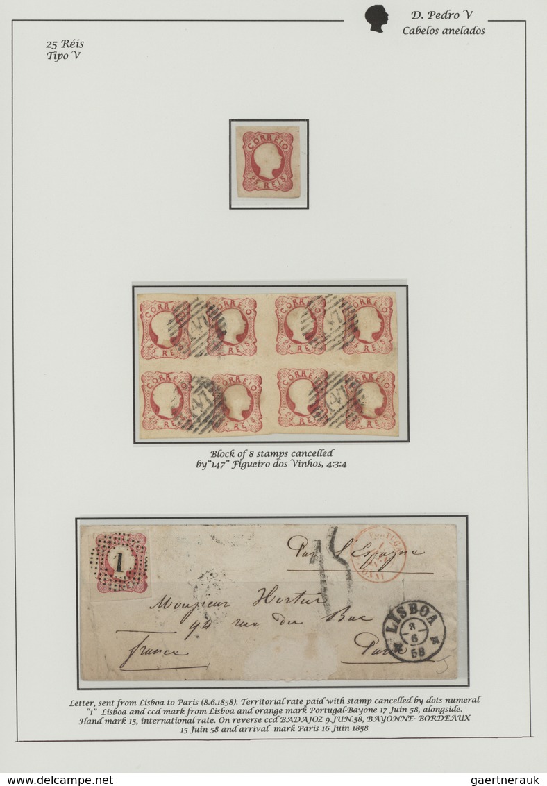 27757 Portugal: 1856/1858, DOM PEDRO CURLY HAIR, Deeply Specialised Collection Of All Values 5r. Brown, 25 - Lettres & Documents