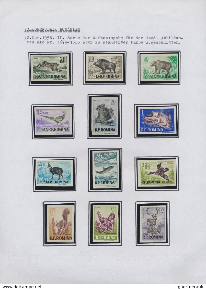 27873 Rumänien: 1945/1989, unmounted mint collection in six albums, neatly arranged on written up pages, a