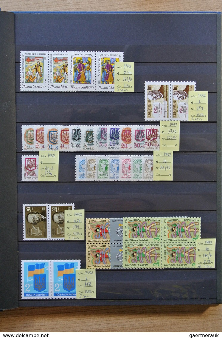 27891 Russland / Sowjetunion / GUS / Nachfolgestaaaten: Box With 7 Stcokbooks Eith MNH Modern Material Til - Collections