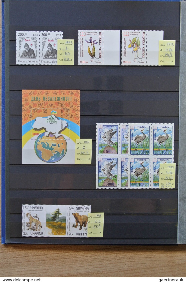 27891 Russland / Sowjetunion / GUS / Nachfolgestaaaten: Box with 7 stcokbooks eith MNH modern material til
