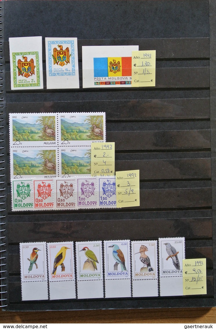 27891 Russland / Sowjetunion / GUS / Nachfolgestaaaten: Box with 7 stcokbooks eith MNH modern material til