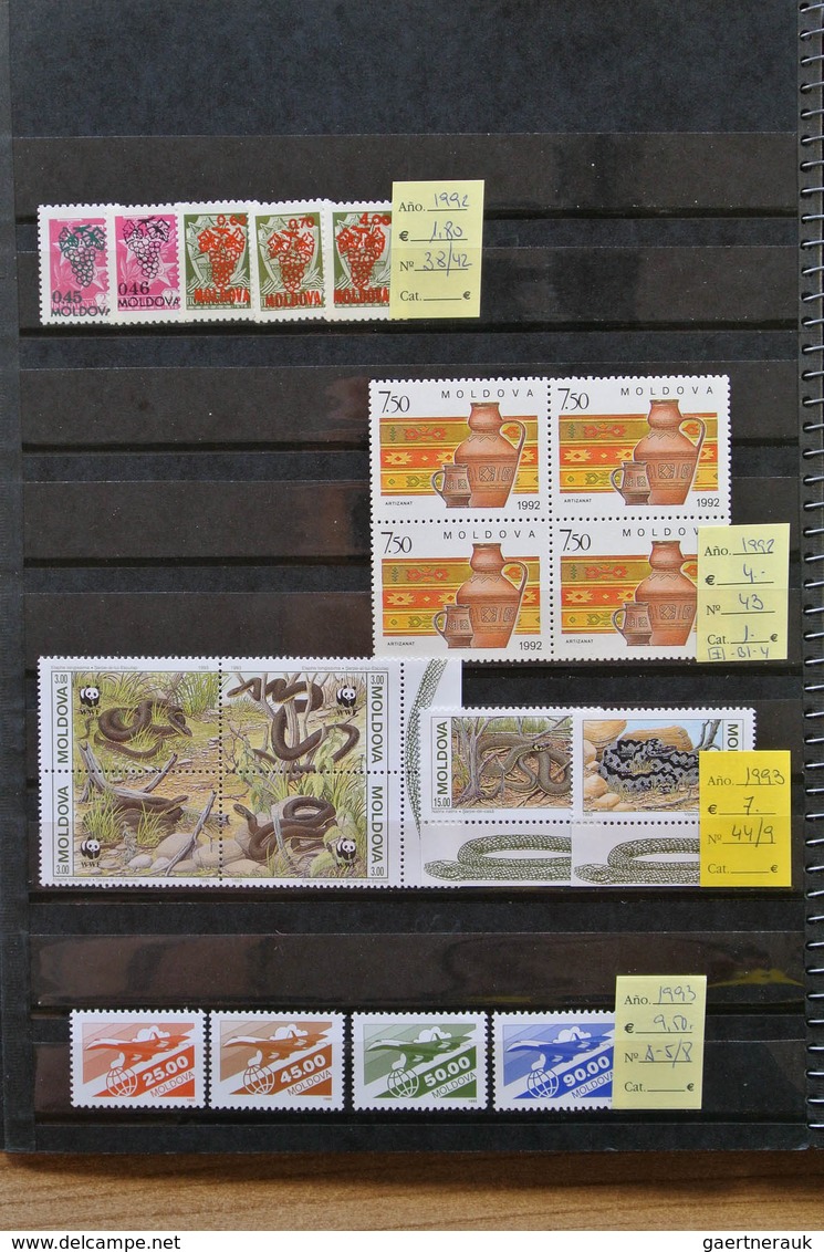 27891 Russland / Sowjetunion / GUS / Nachfolgestaaaten: Box with 7 stcokbooks eith MNH modern material til