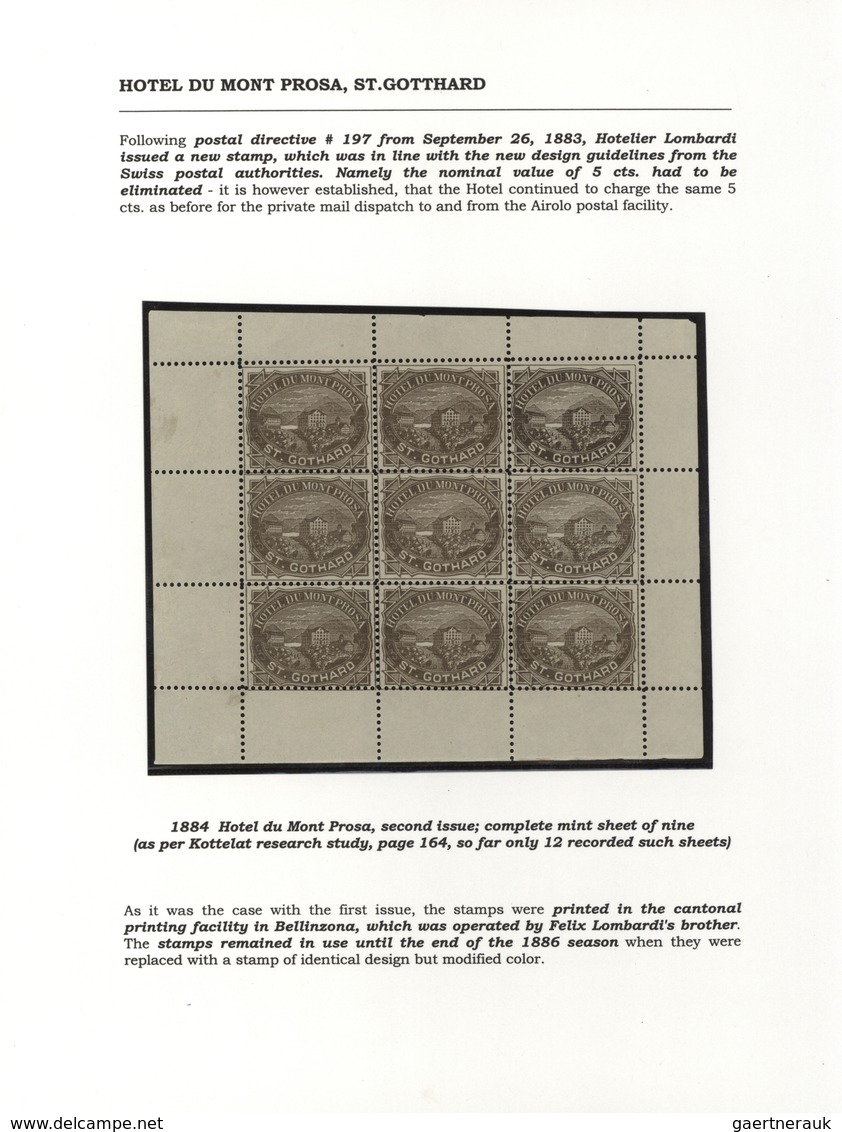 28168 Schweiz - Hotelpost: 1849-1900 ca.: Spezialsammlung der Hotelpost- und späteren Hotelmarken mit 87 B