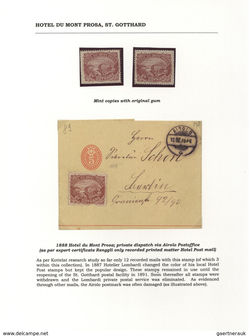 28168 Schweiz - Hotelpost: 1849-1900 ca.: Spezialsammlung der Hotelpost- und späteren Hotelmarken mit 87 B