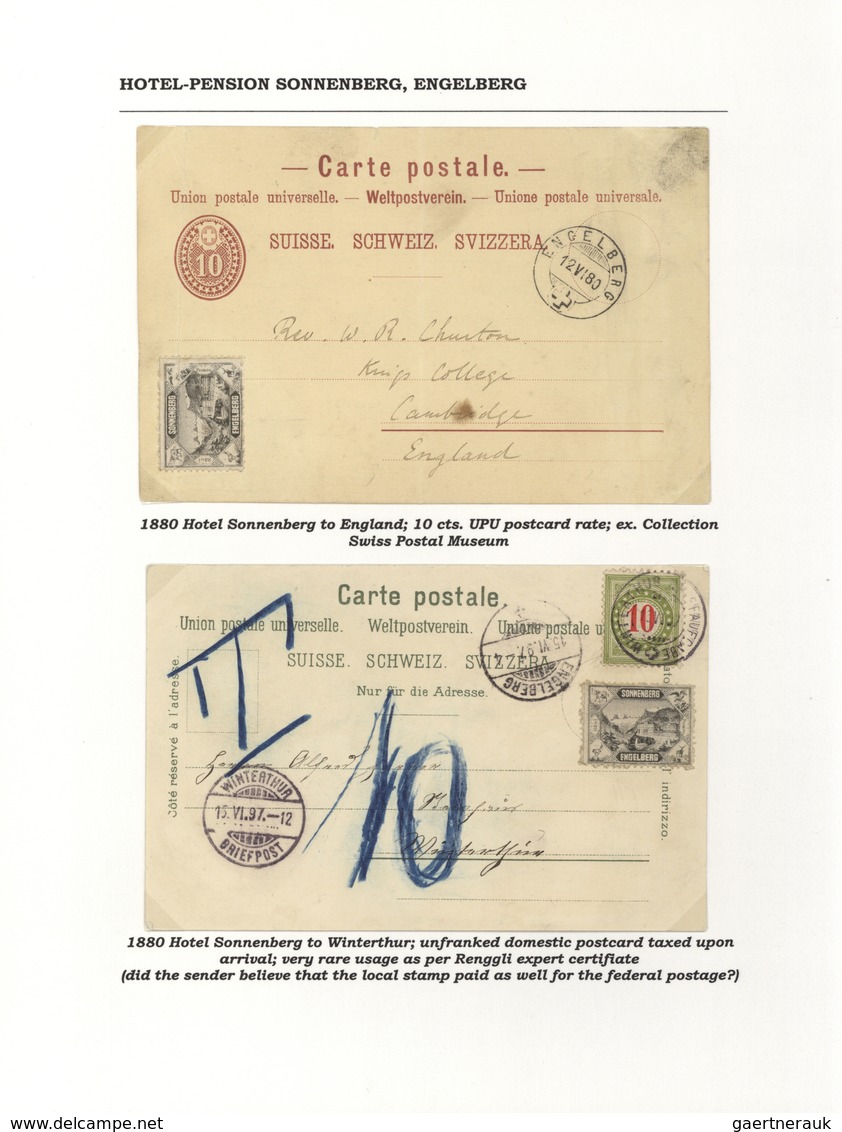 28168 Schweiz - Hotelpost: 1849-1900 ca.: Spezialsammlung der Hotelpost- und späteren Hotelmarken mit 87 B