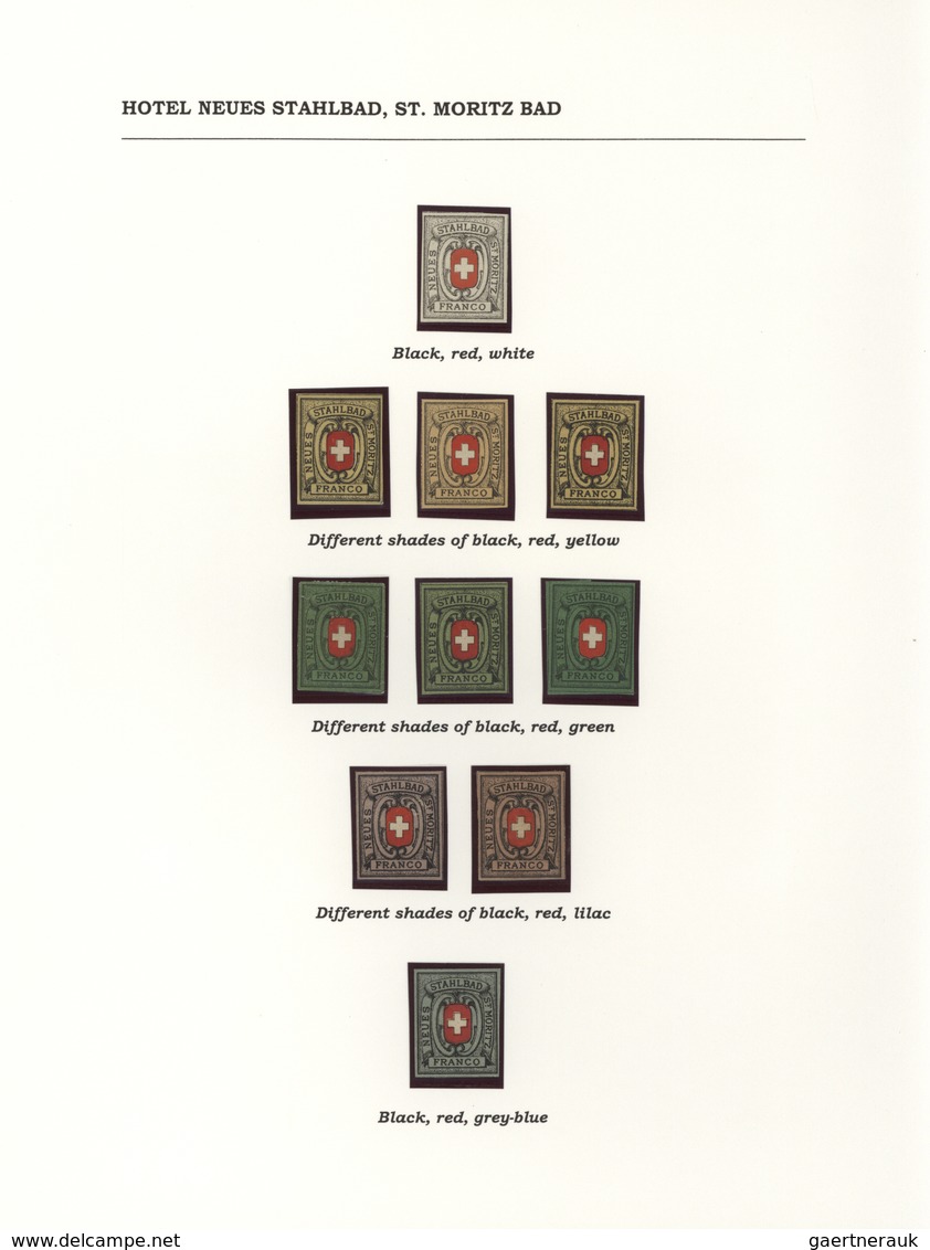 28168 Schweiz - Hotelpost: 1849-1900 ca.: Spezialsammlung der Hotelpost- und späteren Hotelmarken mit 87 B