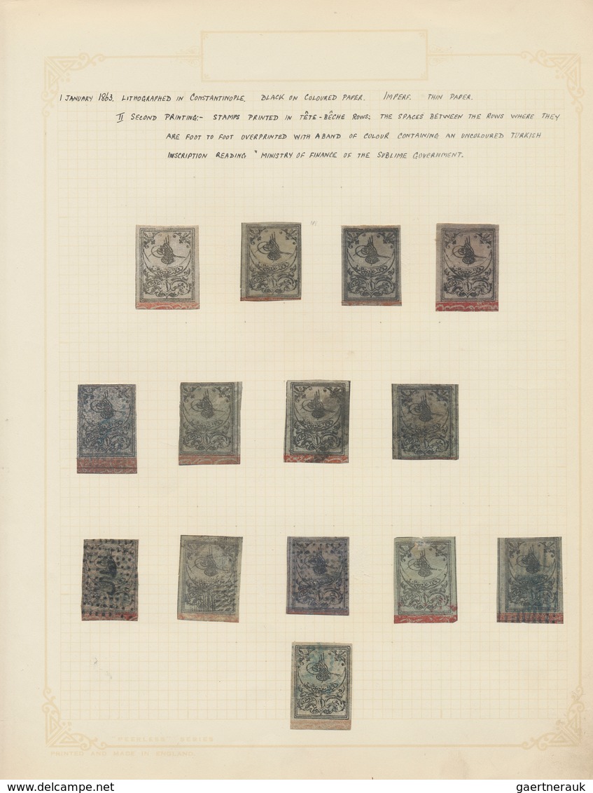 28358 Türkei: 1863: The Tughras Only, 67 Stamps Mint And Used From An Old-time Collection Written-up On Qu - Lettres & Documents