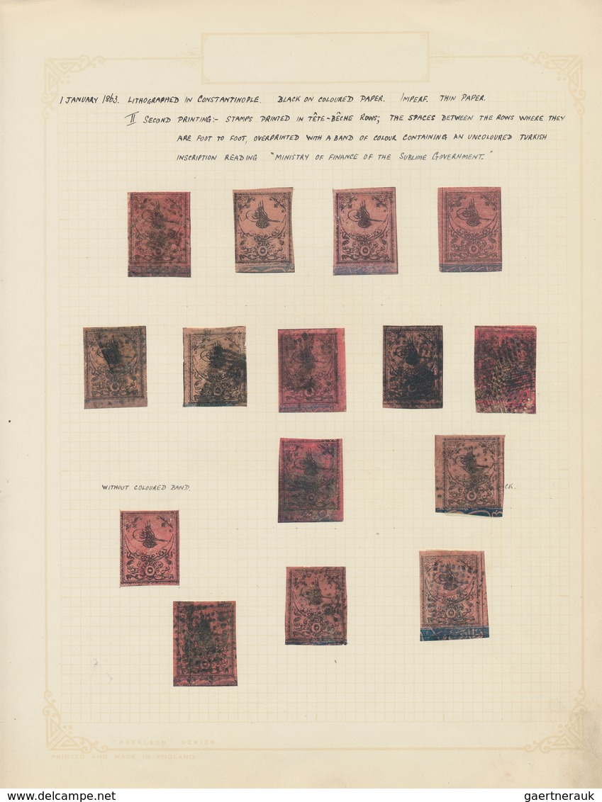 28358 Türkei: 1863: The Tughras Only, 67 Stamps Mint And Used From An Old-time Collection Written-up On Qu - Lettres & Documents