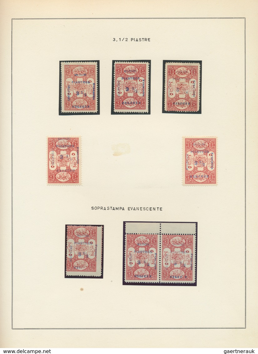 28392 Türkei - Cilicien: 1920, Deeply Specialised Collection Of Apprx. 550 Stamps (overprints On Turkey Ci - 1920-21 Anatolie