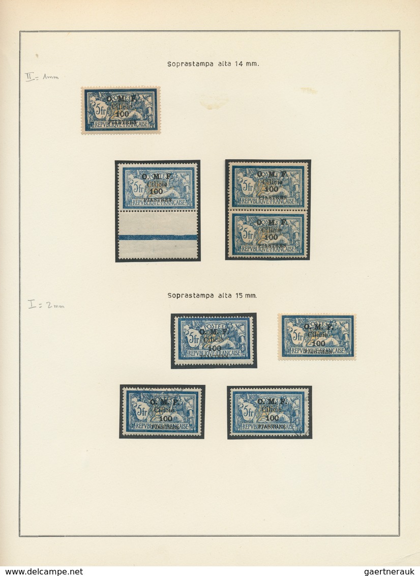 28392 Türkei - Cilicien: 1920, deeply specialised collection of apprx. 550 stamps (overprints on Turkey ci