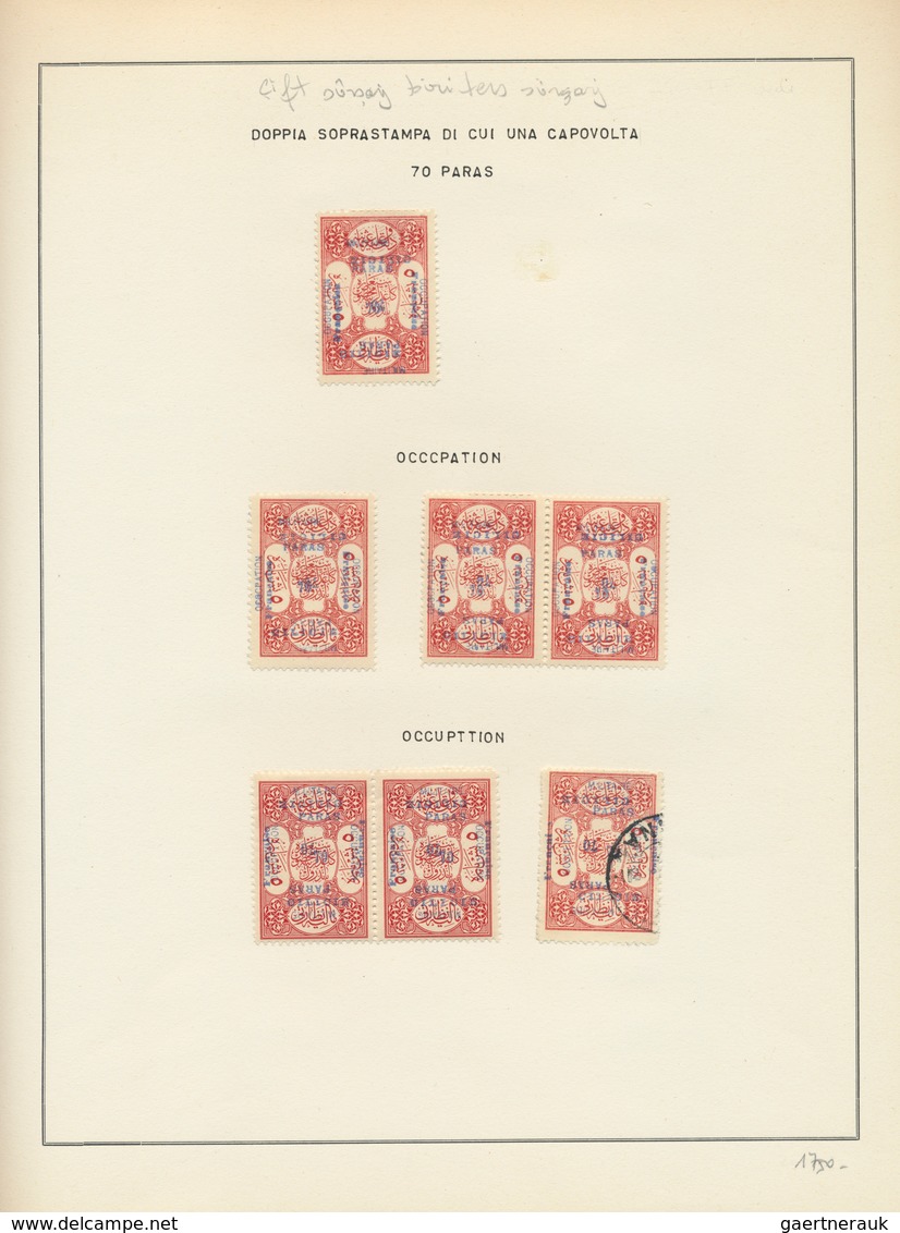 28392 Türkei - Cilicien: 1920, deeply specialised collection of apprx. 550 stamps (overprints on Turkey ci