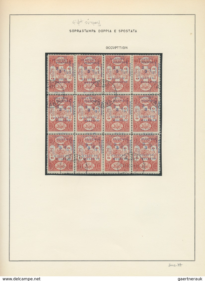 28392 Türkei - Cilicien: 1920, deeply specialised collection of apprx. 550 stamps (overprints on Turkey ci