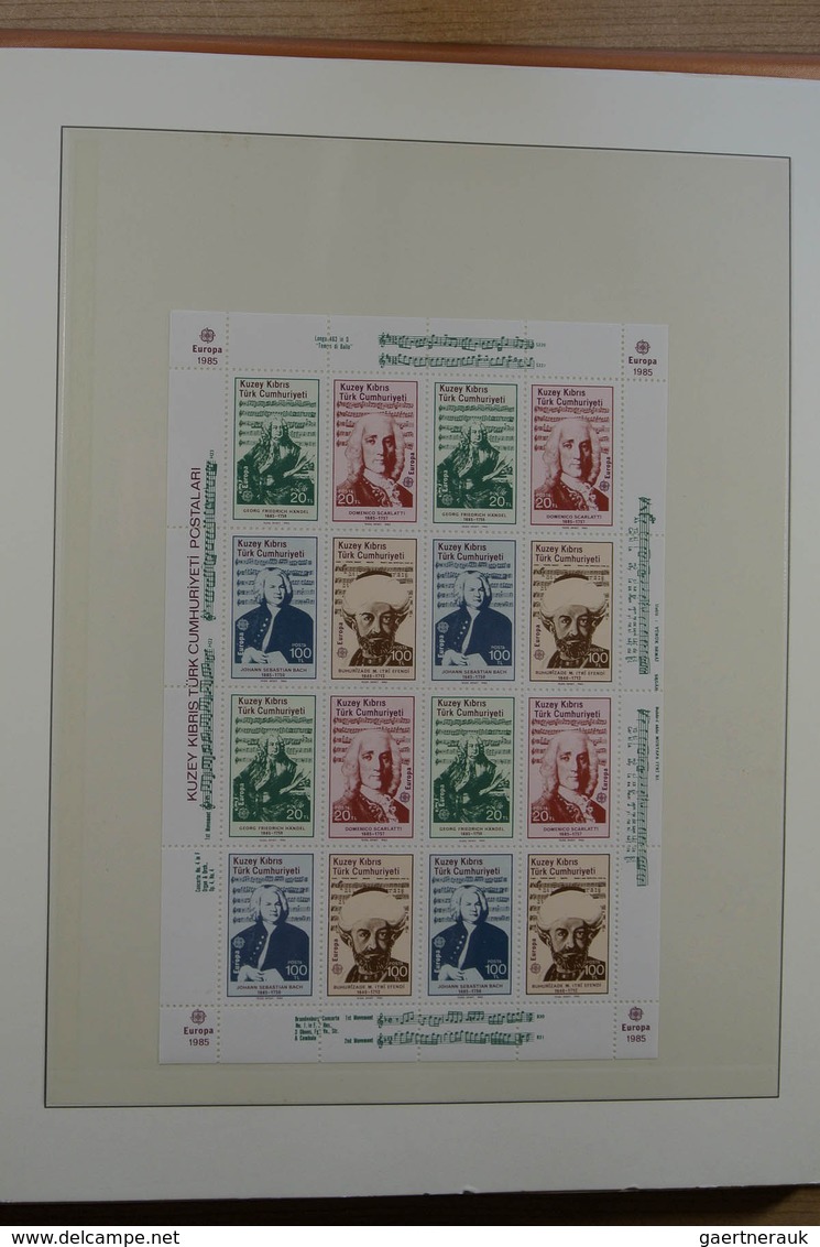 28401 Türkisch Zypern: 1975-1995. Double (MNH AND used) collection Turkish Cyprus 1975-1995 in luxe Lindne