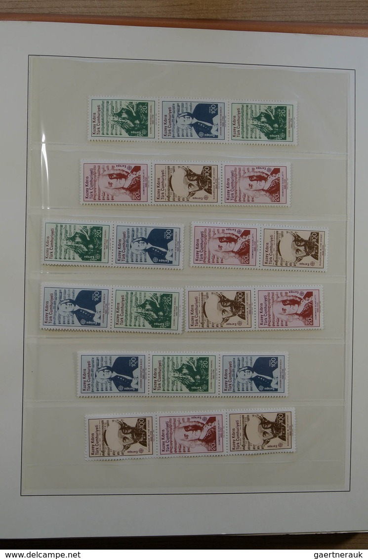 28401 Türkisch Zypern: 1975-1995. Double (MNH AND used) collection Turkish Cyprus 1975-1995 in luxe Lindne