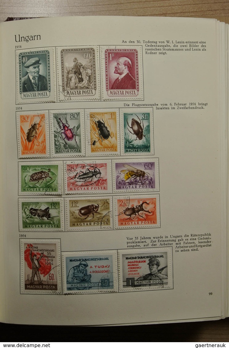 28455 Ungarn: 1950-1974. Partly double, well filled collection Hungary 1950-1974 in 3 Behrens albums. Coll