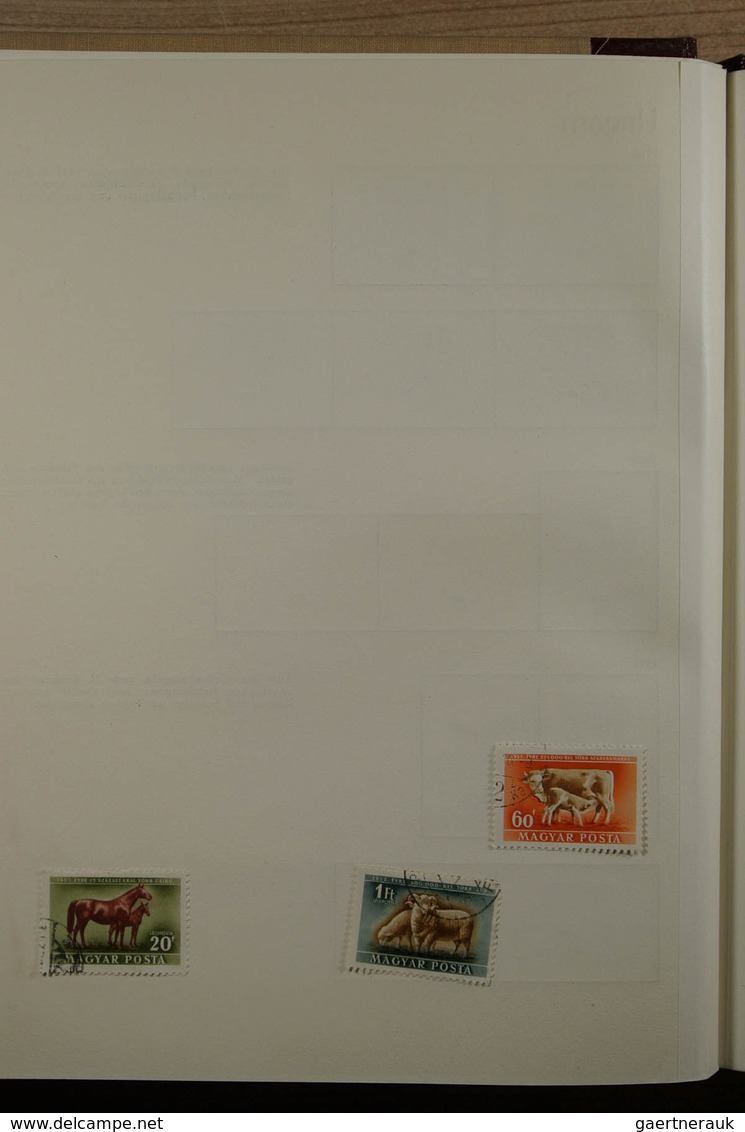 28455 Ungarn: 1950-1974. Partly double, well filled collection Hungary 1950-1974 in 3 Behrens albums. Coll