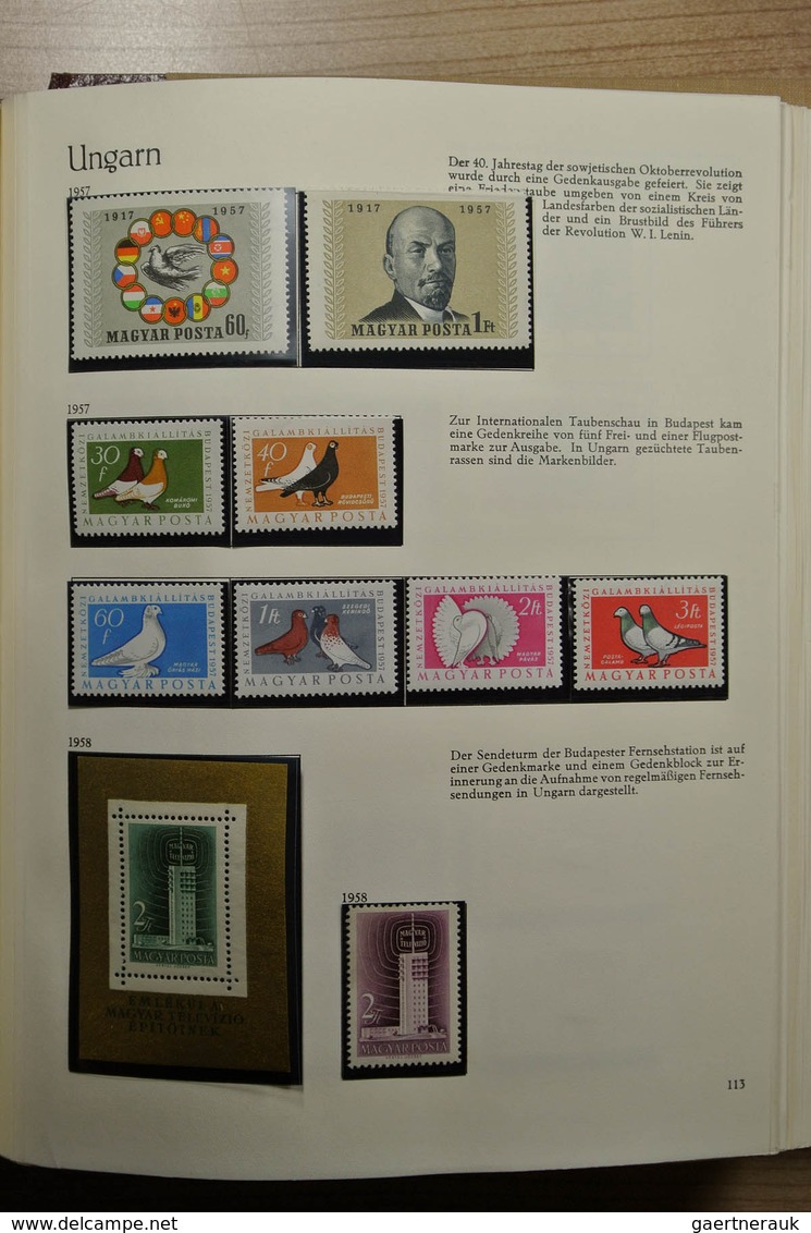 28455 Ungarn: 1950-1974. Partly double, well filled collection Hungary 1950-1974 in 3 Behrens albums. Coll