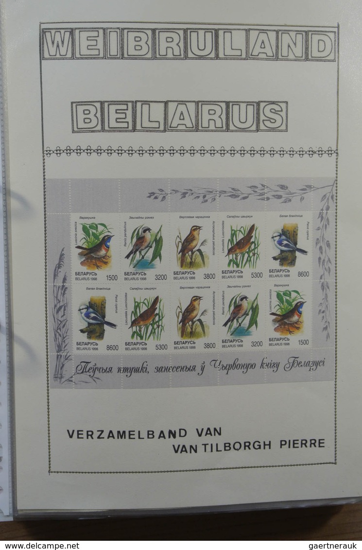 28516 Weißrussland (Belarus): 1995-2009. MNH Collection Belarus 1995-2009 In Ordner. Also Some MNH And Use - Belarus