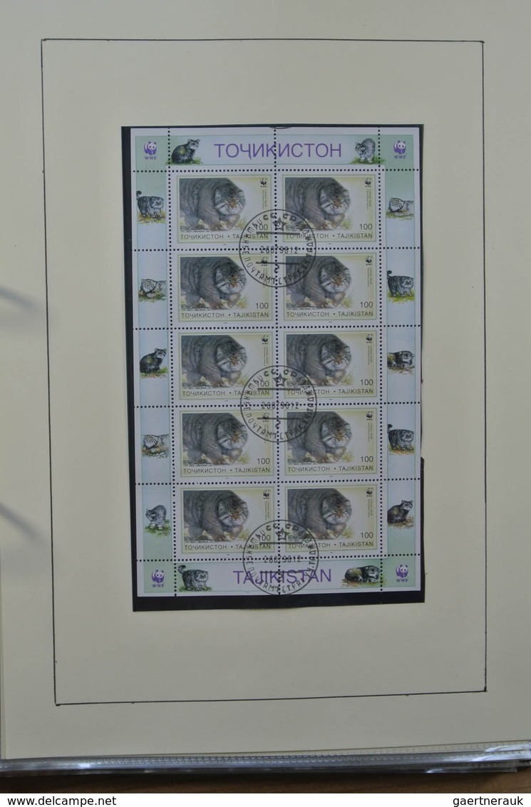 28516 Weißrussland (Belarus): 1995-2009. MNH collection Belarus 1995-2009 in ordner. Also some MNH and use