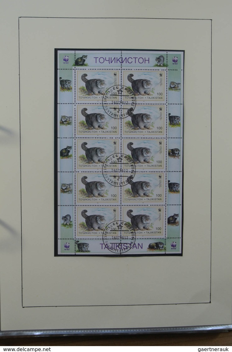 28516 Weißrussland (Belarus): 1995-2009. MNH collection Belarus 1995-2009 in ordner. Also some MNH and use