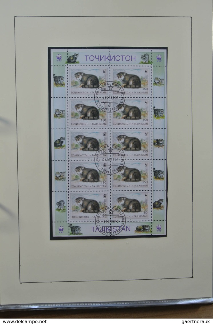 28516 Weißrussland (Belarus): 1995-2009. MNH collection Belarus 1995-2009 in ordner. Also some MNH and use