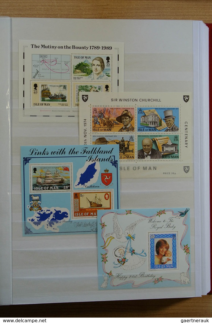 28626 Europa - West: Collection of ca. 550 MNH souvenir sheets (and some stampbooklets) of Western Europe