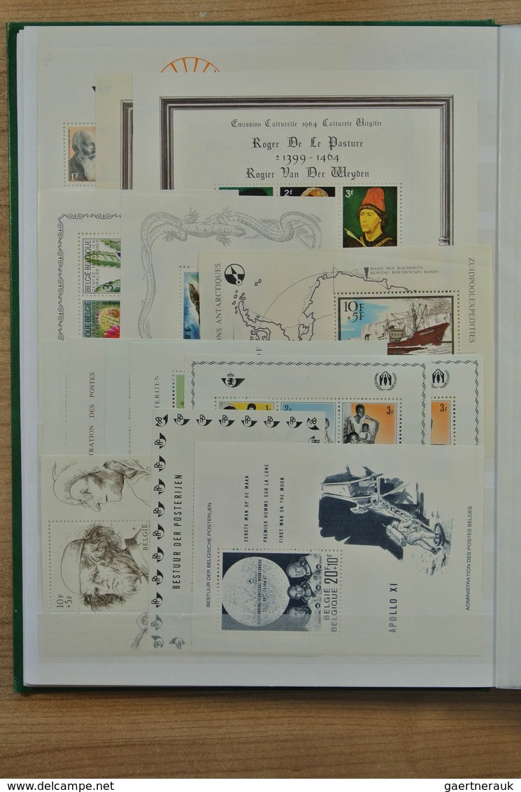 28639 Europa - West: Stockbook With Mostly MNH Souvenir Sheets Of Various Western European Countries, Incl - Autres - Europe