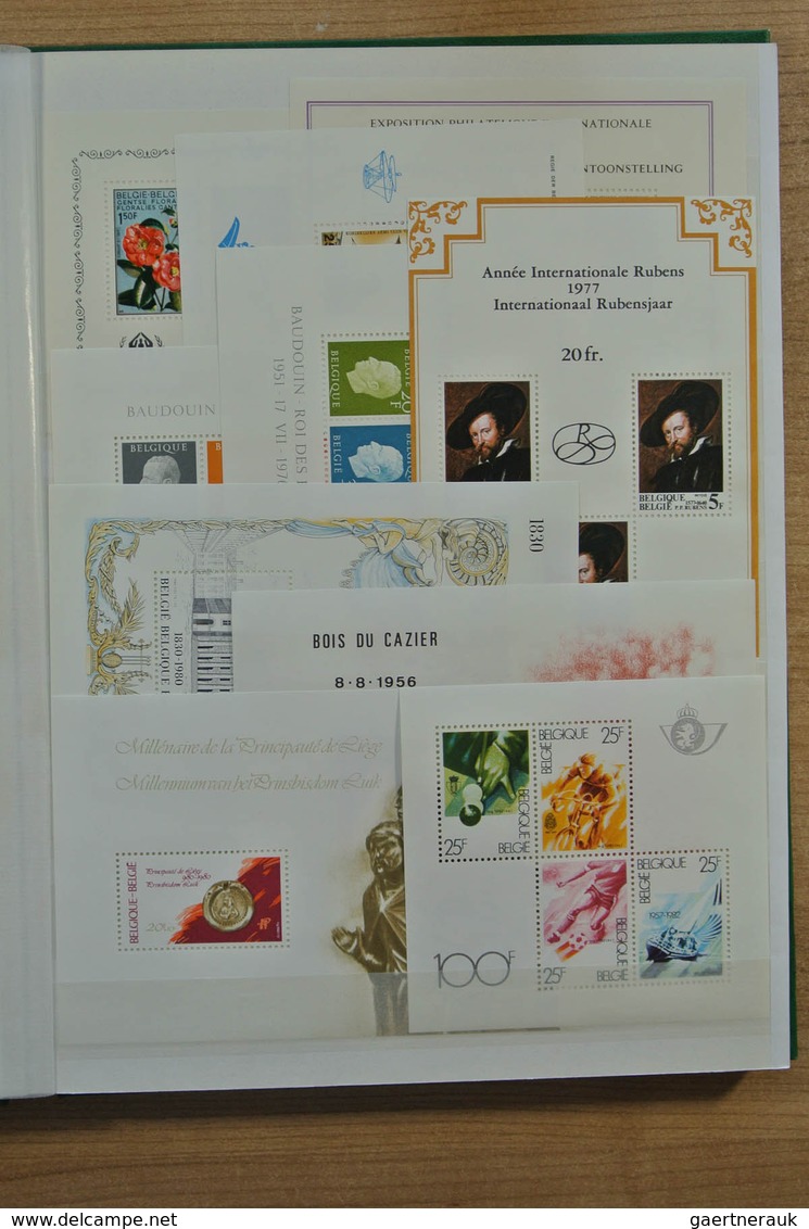 28639 Europa - West: Stockbook With Mostly MNH Souvenir Sheets Of Various Western European Countries, Incl - Autres - Europe