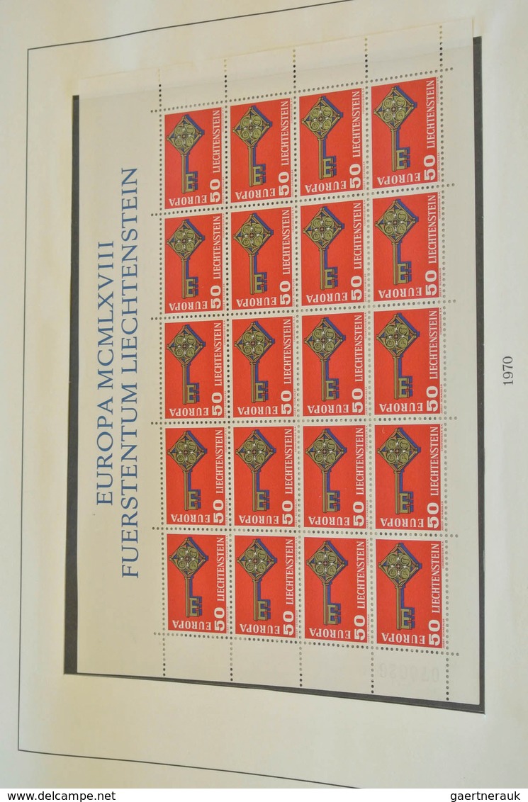 28689 Europa-Union (CEPT): 1956/96: Mostly MNH collection Europe CEPT 1956-1996 in 5 albums and also 3 sto