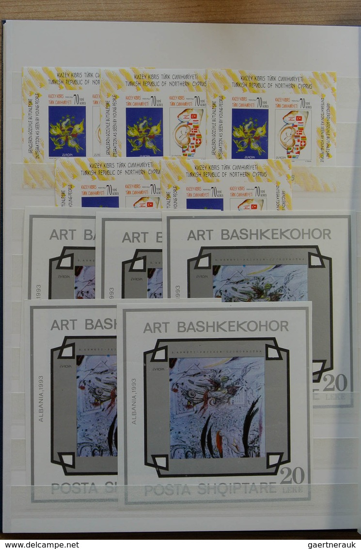28811 Europa-Union (CEPT): 1993-2006. Stockbook with MNH souvenir sheets Europa CEPT 1993-2006 of the smal