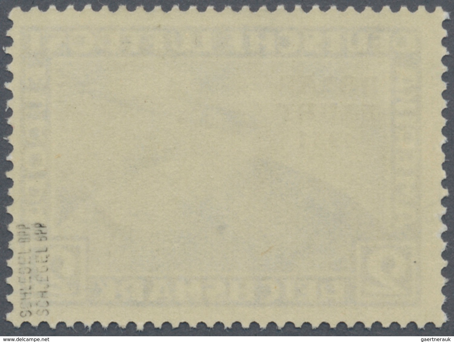 18091 Deutsches Reich - Weimar: 1931, 2 M. Polarfahrt, Lebhaftultramarin, Mit Aufdruckfehler "Bindestrich - Unused Stamps