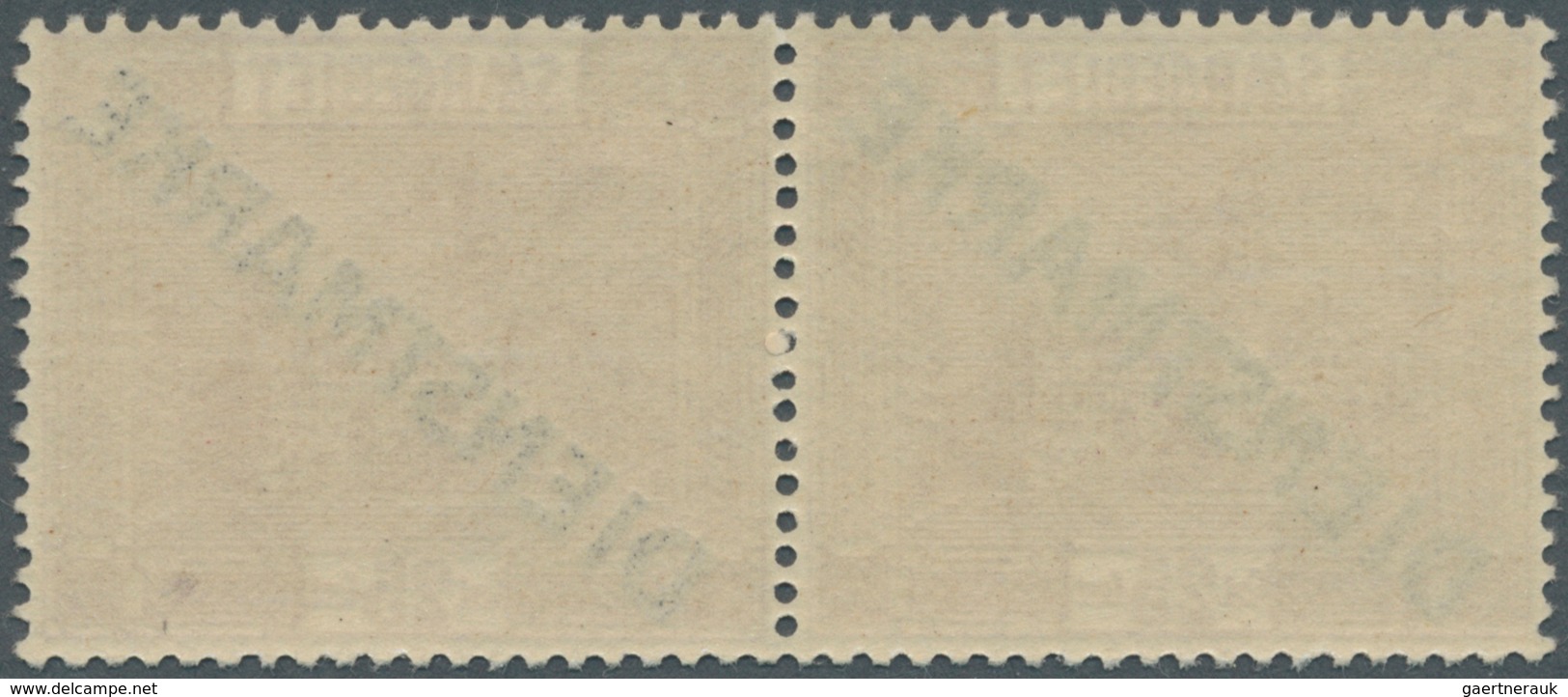 19033 Deutsche Abstimmungsgebiete: Saargebiet - Dienstmarken: 1923:25 C Im Waagerechten Typenpaar Mit Fett - Dienstmarken