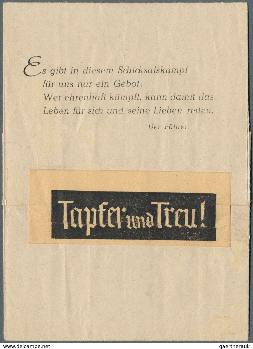 19642 Feldpost 2. Weltkrieg: 1945 (24.3.), Faltbrief "OSTPREUSSEN=FELDPOST" (mit Kreuzritterschild) Aus De - Other & Unclassified