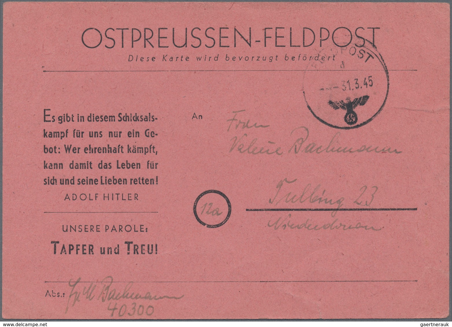 19644 Feldpost 2. Weltkrieg: 1945, Ostpreussen Feldpost-Vordruckkarte Auf Lachsrotem Karton Mit Normstempe - Other & Unclassified