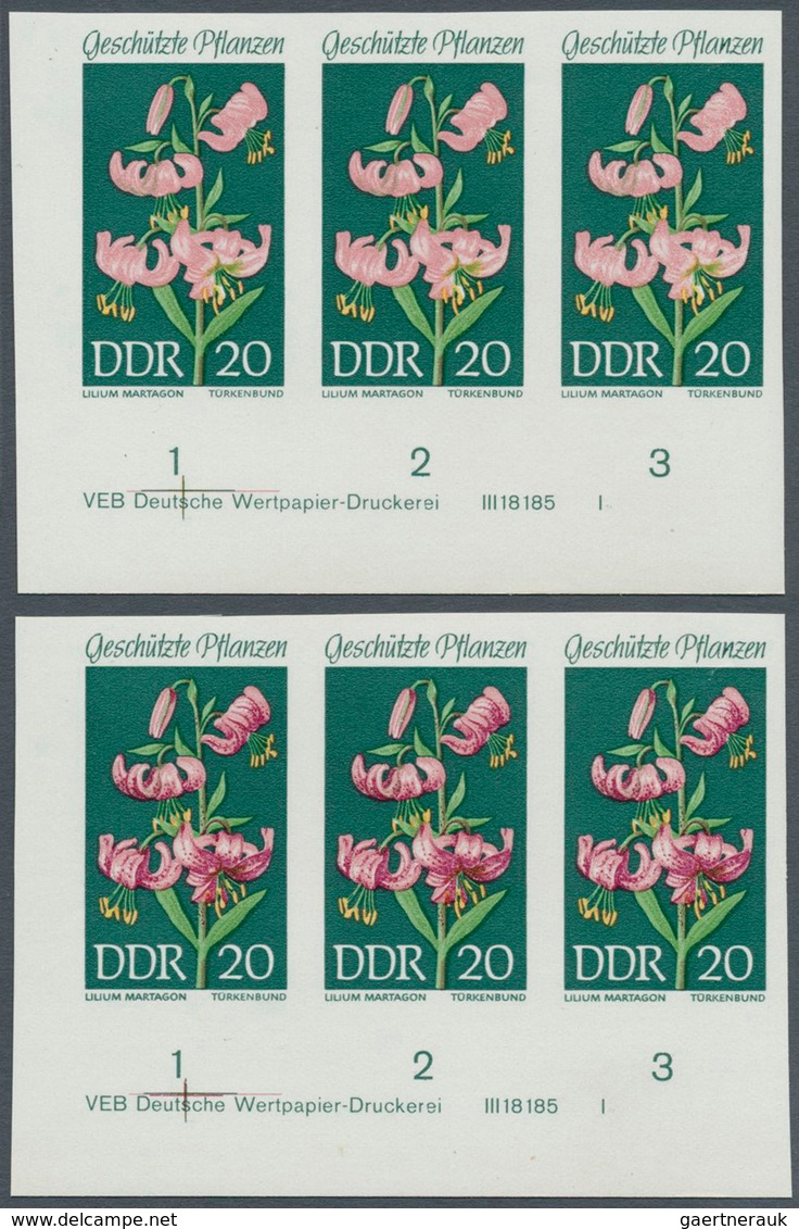 20317 DDR: 1969, Geschützte Heimische Pflanzen 20 Pf. 'Türkenbund (Lilium Martagon)' In 5 Verschiedenen Un - Other & Unclassified