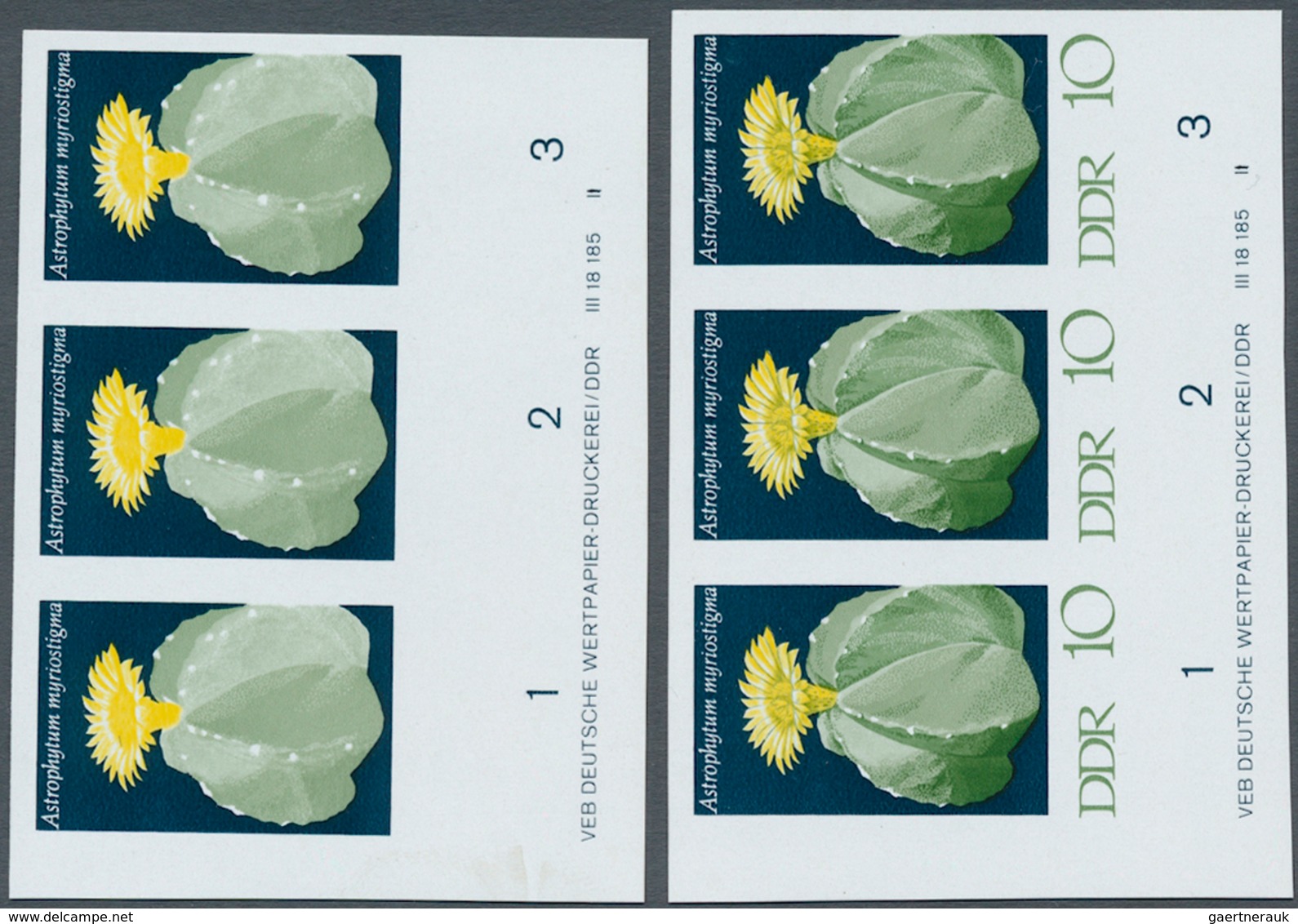 20347 DDR: 1970, Kakteen 10 Pf. 'Bischofsmütze (Astrophytum Myriostigma)' In 4 Verschiedenen Ungezähnten W - Other & Unclassified