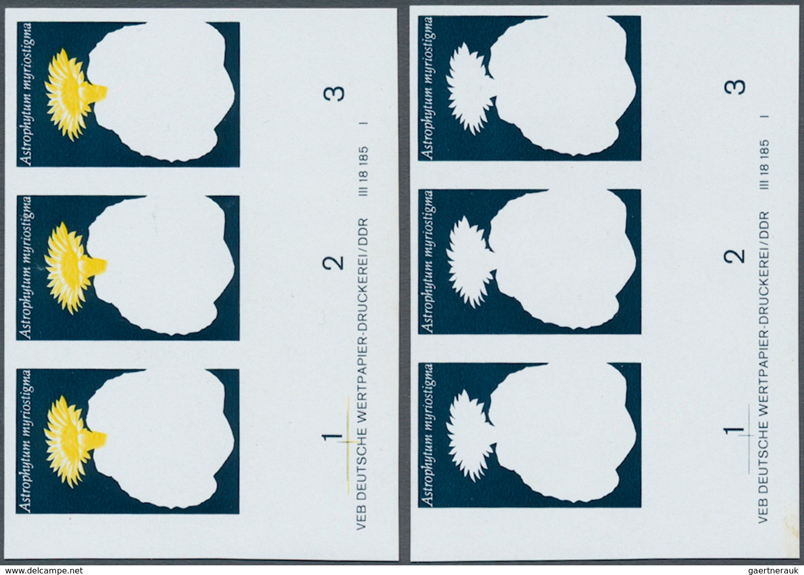 20347 DDR: 1970, Kakteen 10 Pf. 'Bischofsmütze (Astrophytum Myriostigma)' In 4 Verschiedenen Ungezähnten W - Other & Unclassified