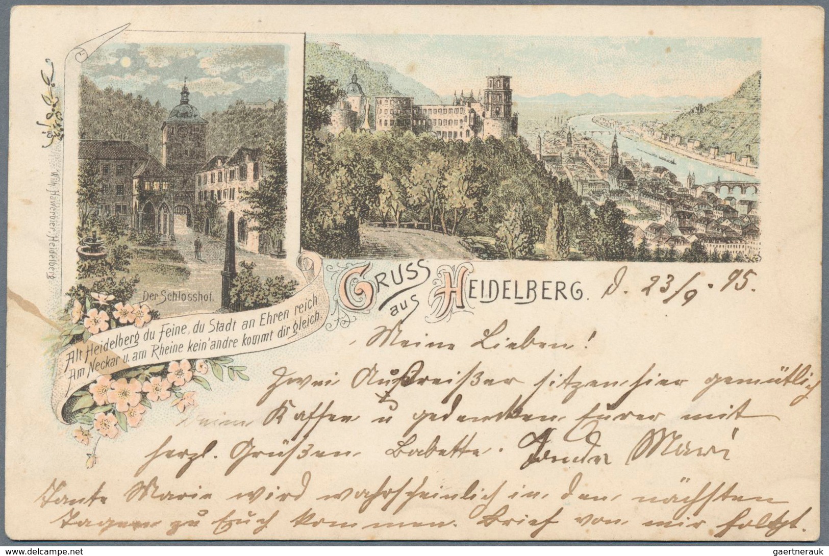 21678 Ansichtskarten: Baden-Württemberg: Heidelberg, Dickes Altes AK Album Mit Rund 450 Karten Ab 1890, Da - Other & Unclassified