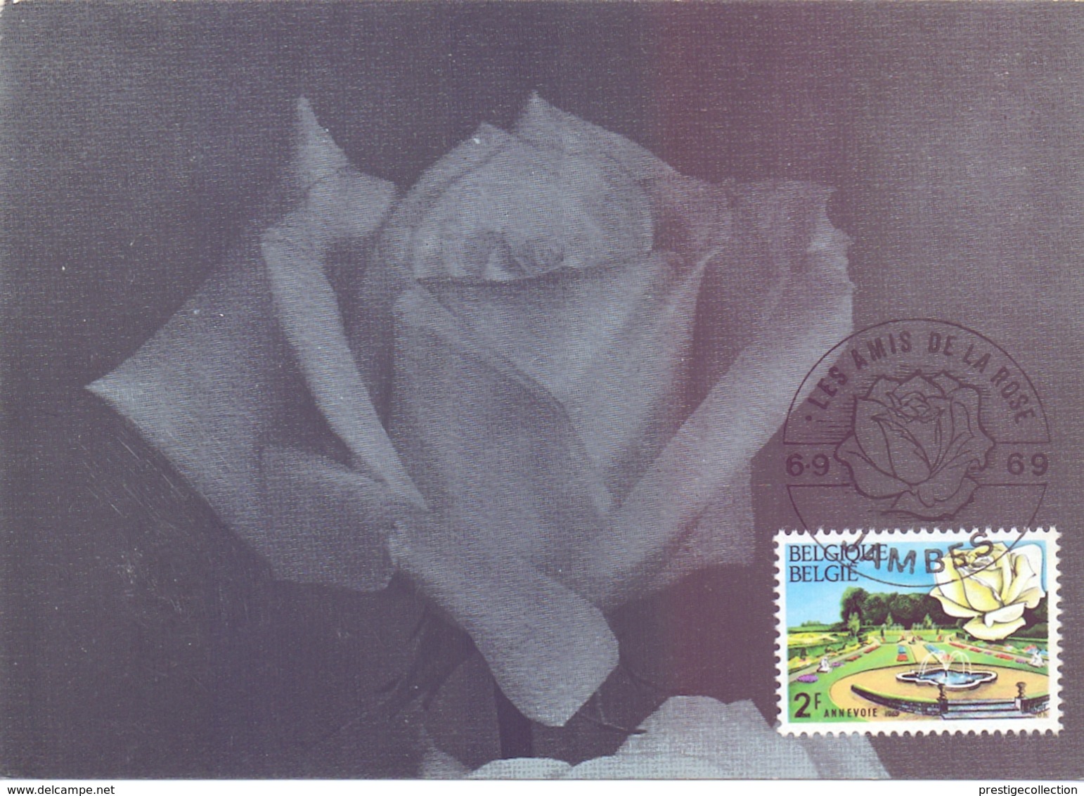 LES AMIS DE LA ROSE 2 PIECES COLLECTION    1969  MAXIMUM    (MAGG180341-41) - 1961-1970