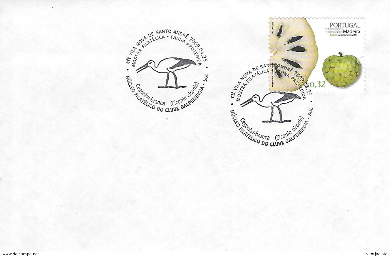 Postmark - White Stork (Ciconia Ciconia) - Postmark Collection