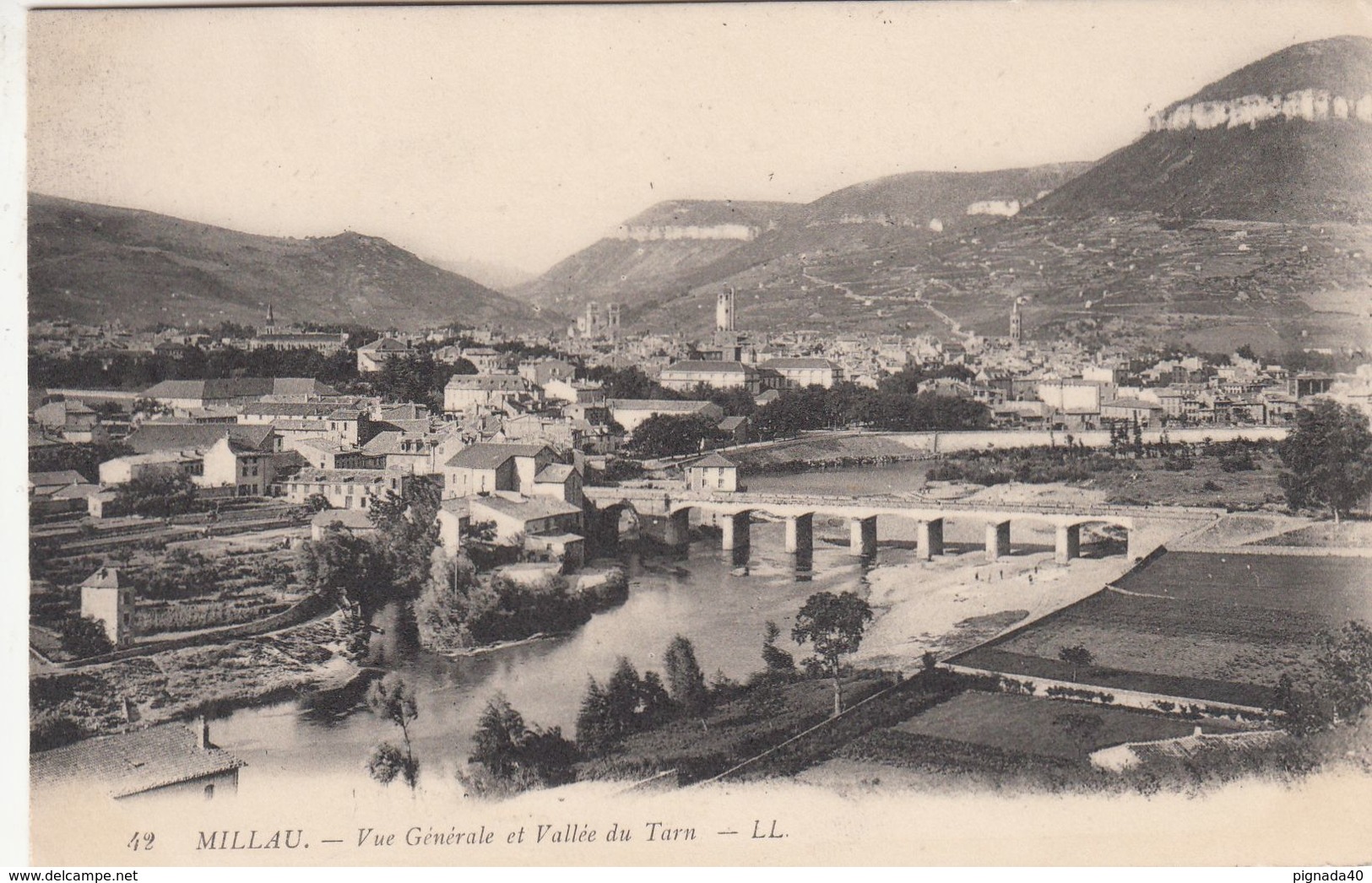 Cp , 12 , MILLAU , Vue Générale Et Vallée Du Tarn - Millau